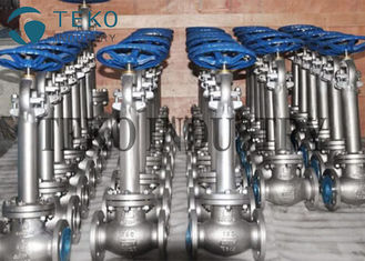 Manual Low Temperature Steel Cryogenic Globe Valve With Extension Stem