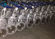High Pressure Flexible Wedge Flanged Gate Valve Cast Steel For WOG