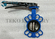 Pinless Concentric Stainless Steel Butterfly Valve With Backed Seat